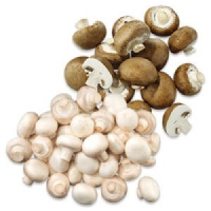 Niederlande/Polen Champignons, wei&szlig; oder Champignons, braun