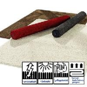 Hochflor-Teppich 29.95&nbsp;&euro;