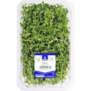Frischer Thymian 2.29 €