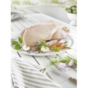 Polnische Hafermastg&auml;nse 11.84&nbsp;&euro;