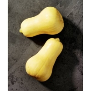 Speisek&uuml;rbis Butternut 1.79&nbsp;&euro;