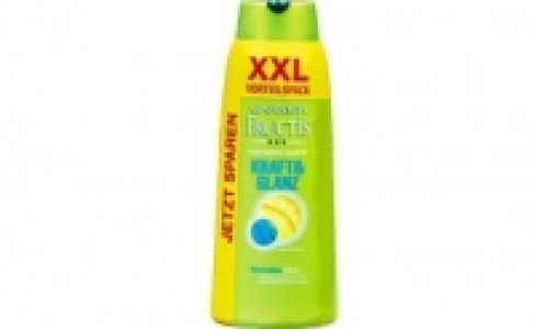 Garnier Fructis Shampoo 2.99 €
