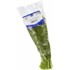 Frische Petersilie