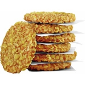 Salomon Crunchy Chickn Burger