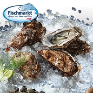 Felsenaustern 0.99 €