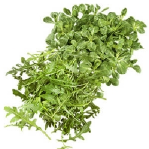Deutschland/Frankreich Feldsalat oder Deutschland/Italien Rucola Salat 0.99&nbsp;&euro;