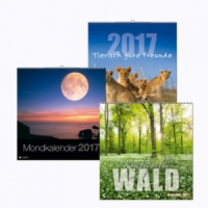 Deko-Wandkalender 2017 4.99 €