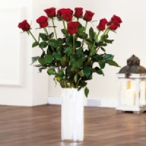Premium Rosen 3.99 €
