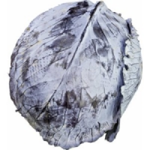 Rotkohl 1.19 €