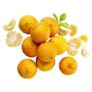 Spanien Clementinen Nadorcot 1.99&nbsp;&euro;
