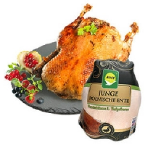Junge Ente, bratfertig