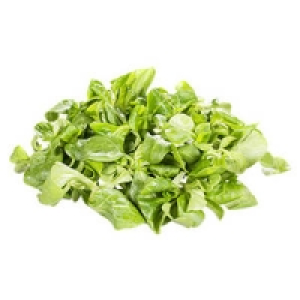 Italien Feldsalat