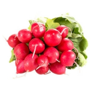 Italien Radieschen