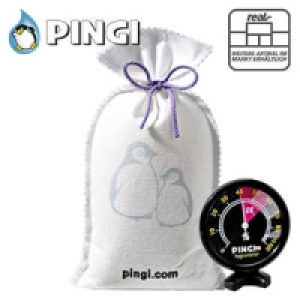 Pingi Luftentfeuchter XL Megapack