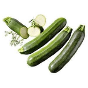 Spanien Zucchini