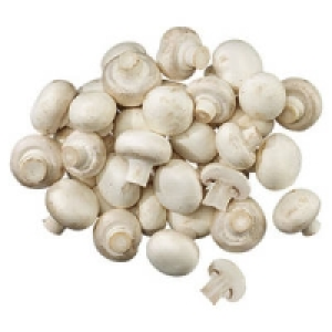 Niederlande/Polen Champignons, wei&szlig;