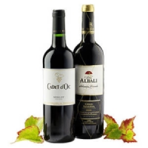 Spanien Vi&ntilde;a Albali Privada oder Frankreich le Cadet Merlot