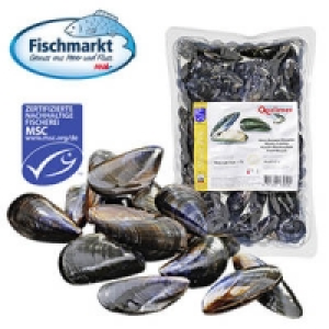 Miesmuscheln Extra