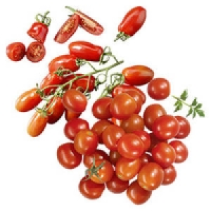 Italien/Marokko Datteltomaten oder Marokko/Senegal Cocktailtomaten