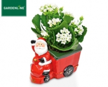 GARDENLINE®Bepflanzte Weihnachtskeramik 2.99 €