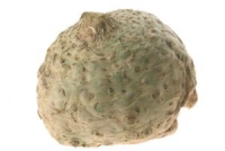 Knollensellerie 1.99&nbsp;&euro;