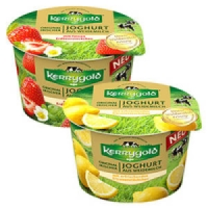 Kerrygold Fruchtjoghurt