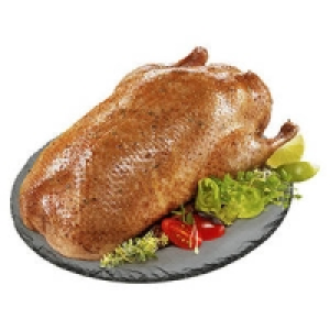 Polnische Hafermastgans