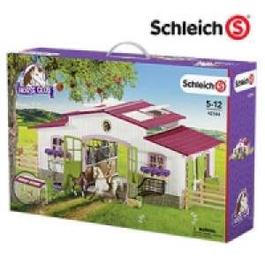 Reiterhof mit Reiterin und Pferden