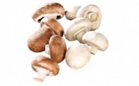 Riesenchampignons 1.79&nbsp;&euro;
