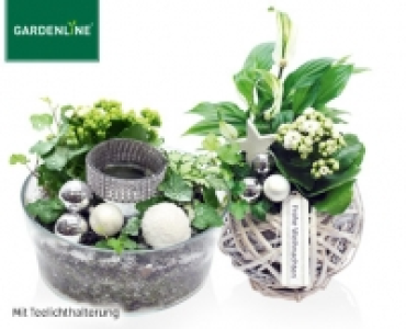 GARDENLINE®Pflanzenschale Winter