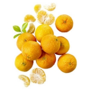 Spanien Clementinen Clemennules