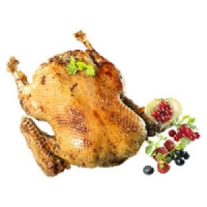 Junge Ente, bratfertig 2.22&nbsp;&euro;