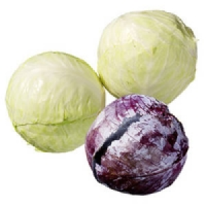 Rotkohl oder Wei&szlig;kohl