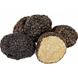 Hochwertiger frischer Tr&uuml;ffel