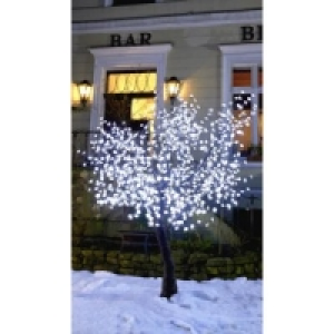 Hochwertiger Kirschbl&uuml;tenbaum 250 cm