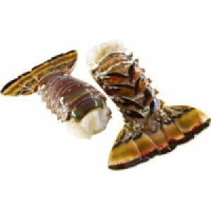 Langustenschw&auml;nze