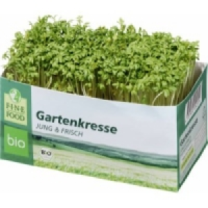Frische Kresse