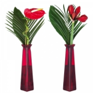 Weihnachtliches Arrangement 3.99 €