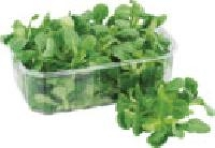 Feldsalat 0.69 €