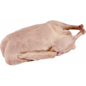 Polnische Hafermastgans 4.99&nbsp;&euro;