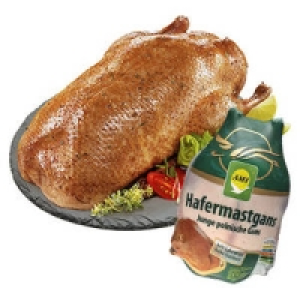 Polnische Hafermastgans 3.49&nbsp;&euro;