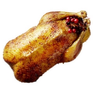 Deutsche Barbarie Ente