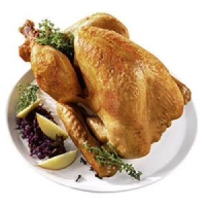 Franz&ouml;sische Pute