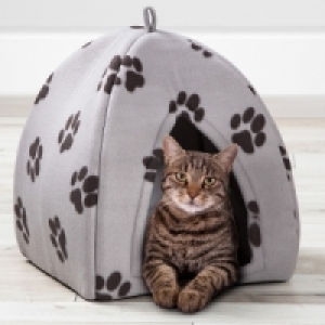 Katzenh&ouml;hle 9.99&nbsp;&euro;