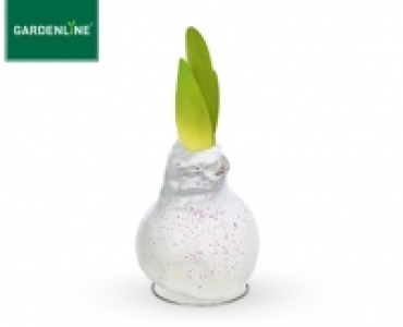 GARDENLINE®Amaryllis mit Wachsfuß
