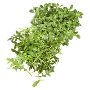 Deutschland/Frankreich Feldsalat oder Italien Rucola Salat 1.29&nbsp;&euro;