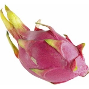 Pitahaya rot