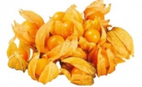 Physalis 0.88&nbsp;&euro;