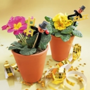 Silvesterprimel 0.99 €