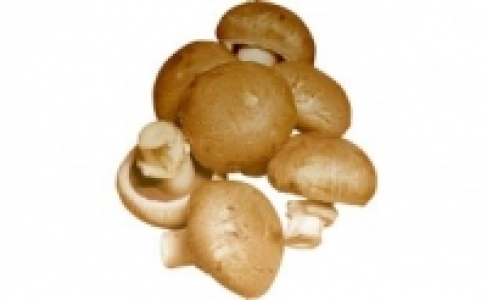 Champignons braun 0.88 €